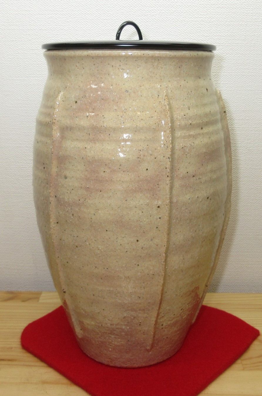 逢絢亭】茶道具 水指 唐津焼 朝鮮唐津 帆柱窯 中嶋紀文 共箱入り