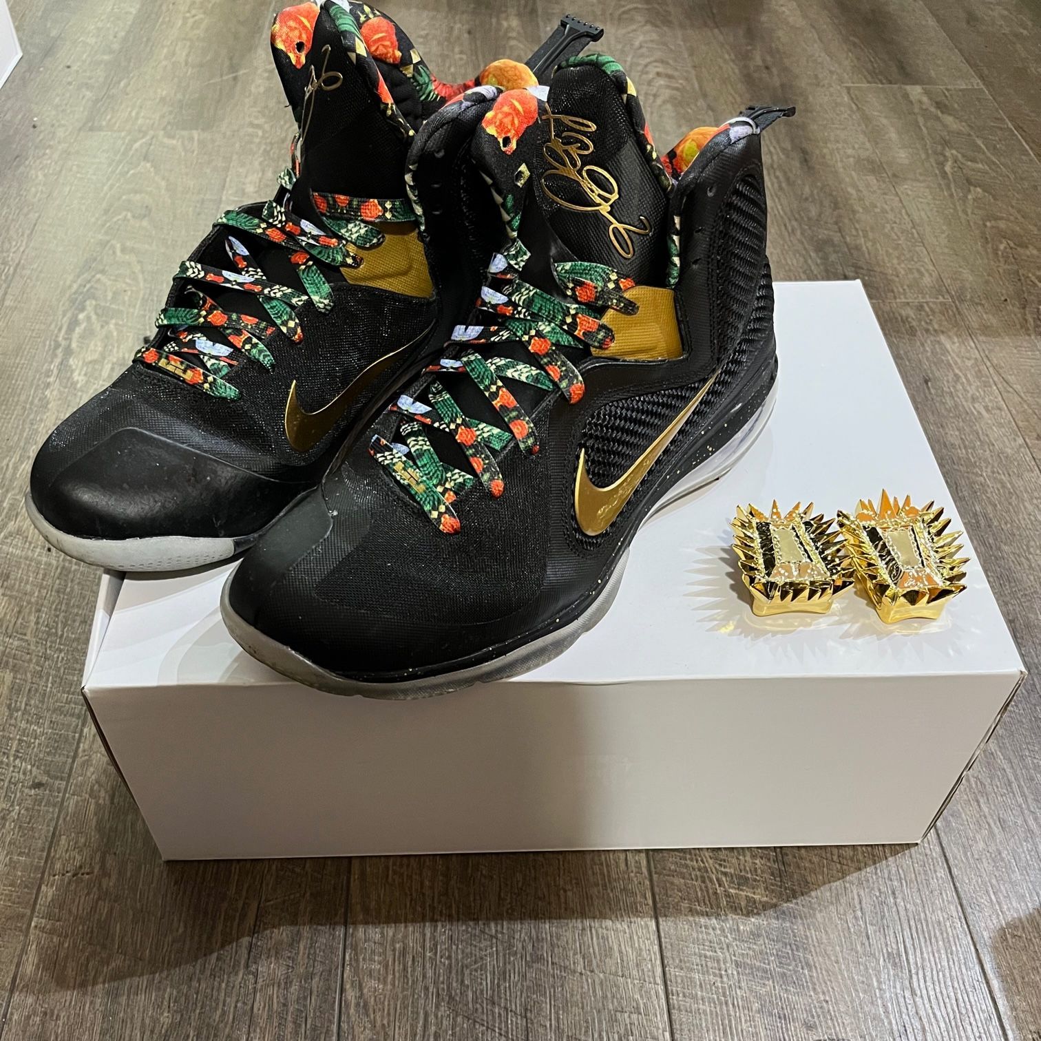 希少 NIKE LEBRON 9 King DO9353-001 キング レブロン9 スニーカー ナイキ 30cm 65722A