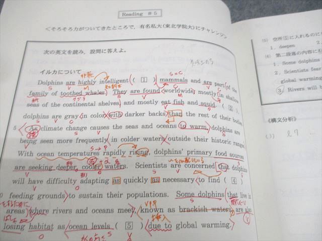 代ゼミ Basic English 読解・英作・文法・単語/読解・英作中心 テキスト通年セット 2022 計3冊 西谷昇二 ☆ 020S0D 代ゼミ Basic English 読解・英作・文法・単語/読解・英作中心