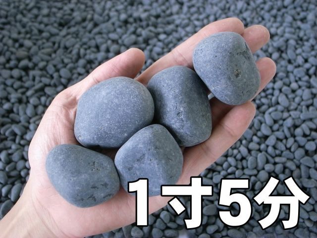 敷き 大量