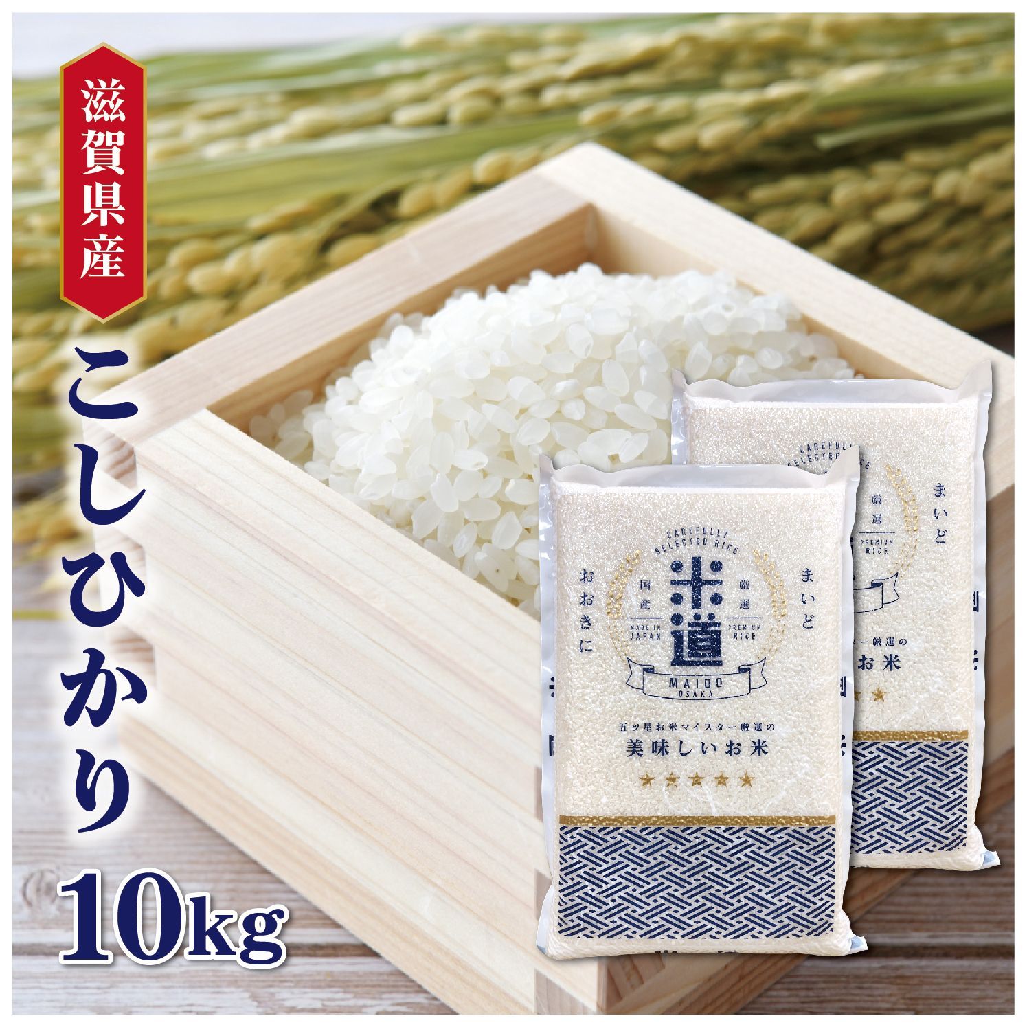 ポケモン キッズ カード フルコンプ 151種類 カントー 専用ファイル