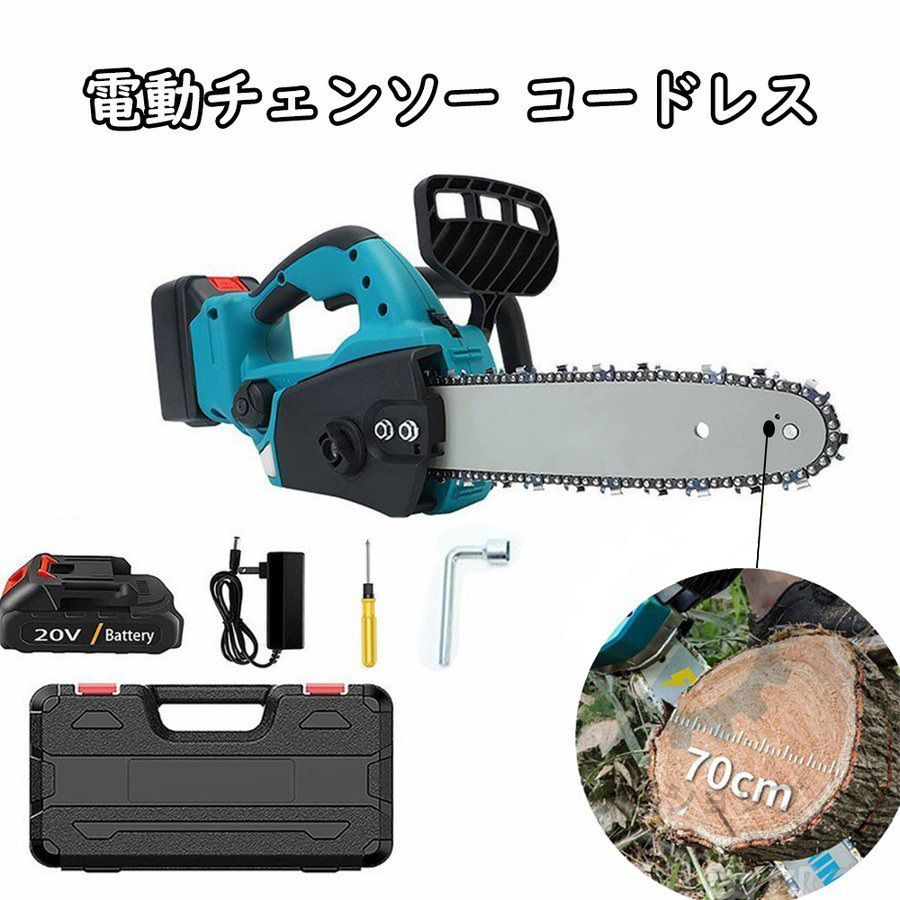 ラスト8 希少種 E.megacalix メガカリックス メキシコ輸入苗