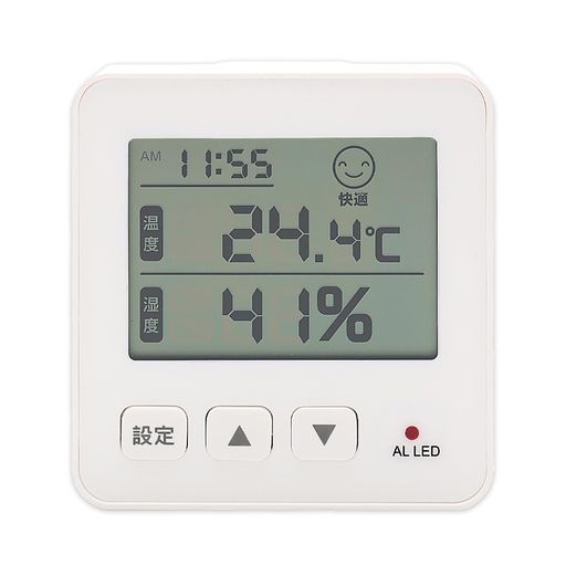 石阪春生 2024 女性像 ペン画 金属製フレーム