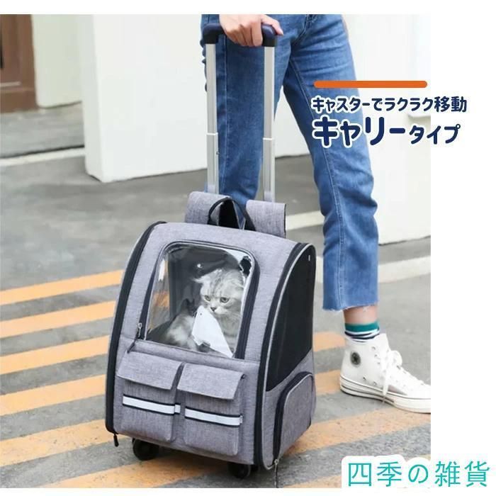 小型犬