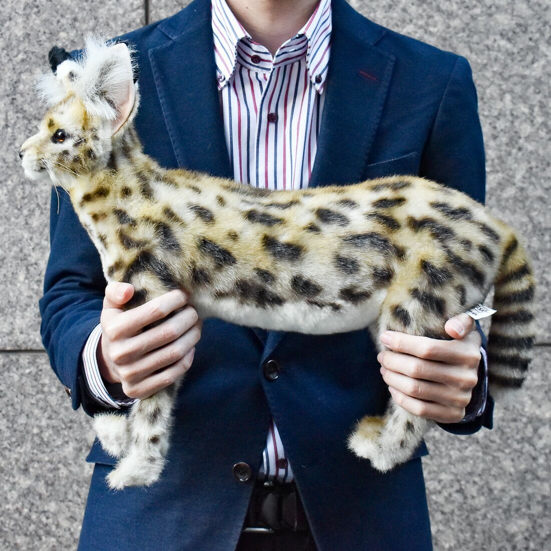 HANSA 7372 ぬいぐるみ サーバルキャット 48 立ちタイプ AFRICAN SARVAL CAT STANDING BH7372 ハンサ (HANSA) ｻｰﾊﾞﾙｷｬｯﾄ 48 みっちりねこ ぬいぐるみ