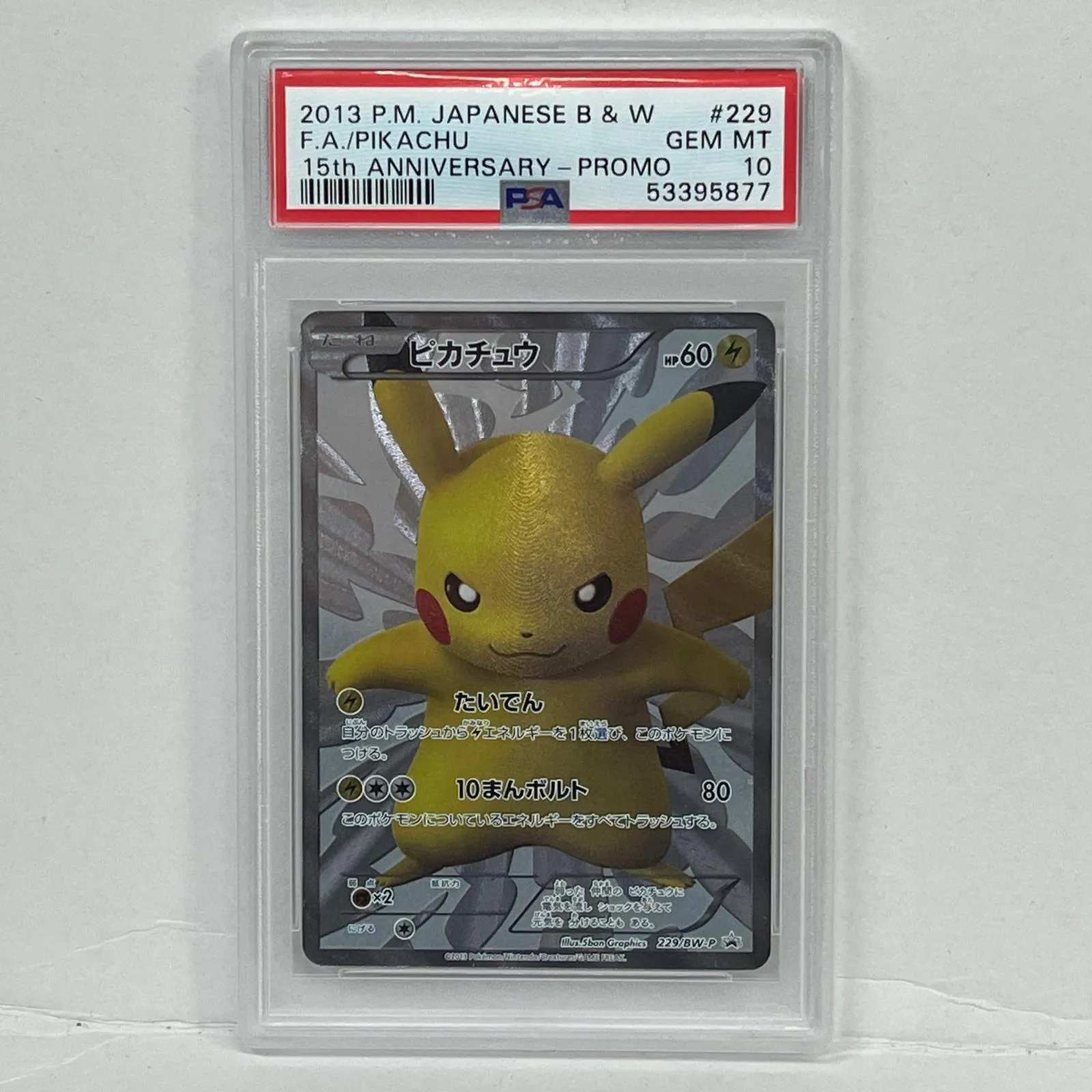 2025年最新】229/BW-Pの人気アイテム - メルカリ