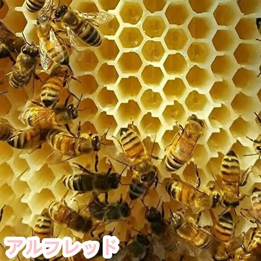 ミツバチ 巣箱 蜜蜂巣箱 4/7個 フローハイブ 蜂巣 巣脾 巣礎 巣