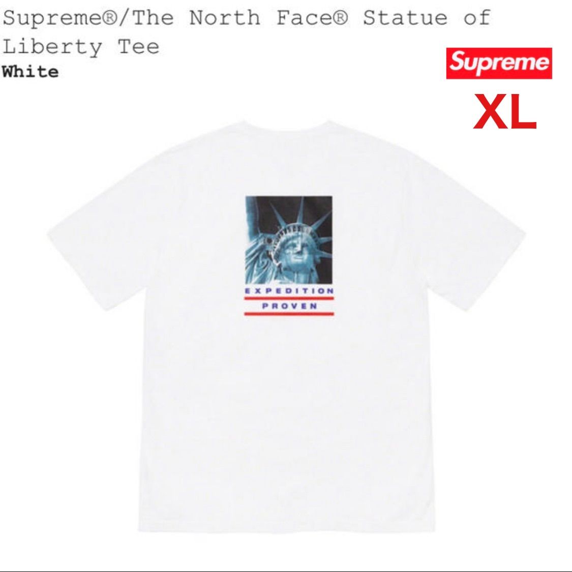 Tシャツ/カットソー(半袖/袖なし)S　Supreme TNF Statue of Liberty Tee