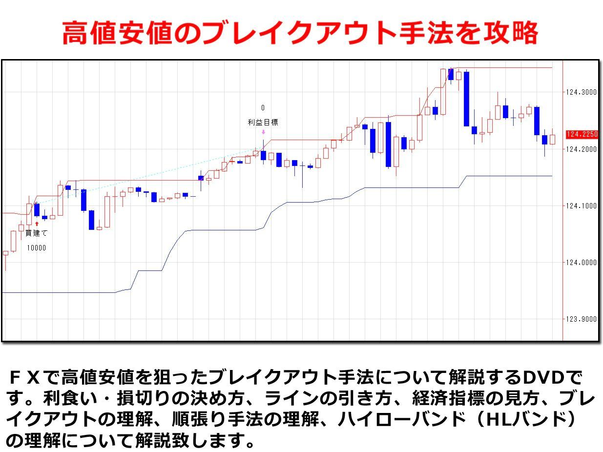 FX高値安値ブレイクアウト手法 短期売買法のすべて - メルカリ