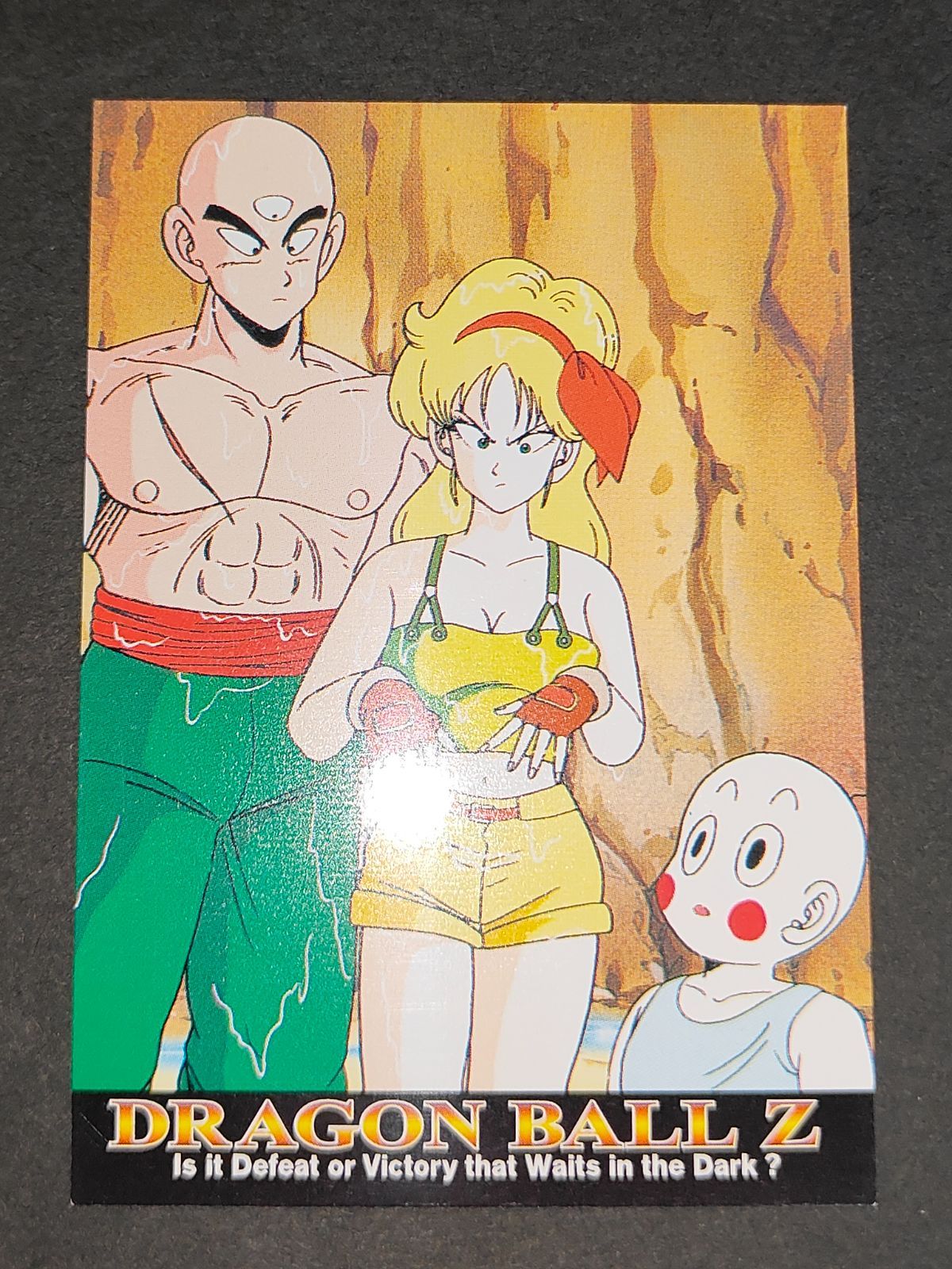 aca339 ドラゴンボール トレーディングコレクション N-24