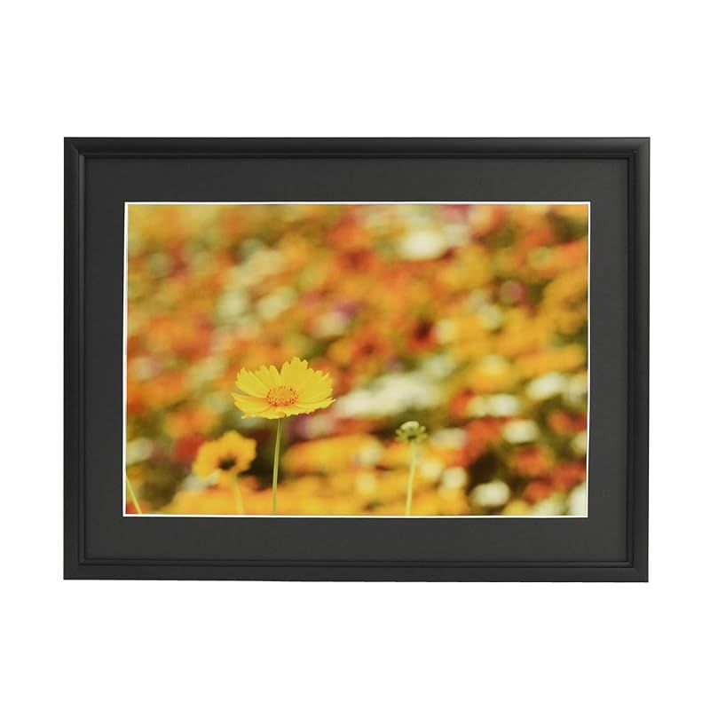 FUJICOLOR アルミ額縁 A33 全紙 ブラック