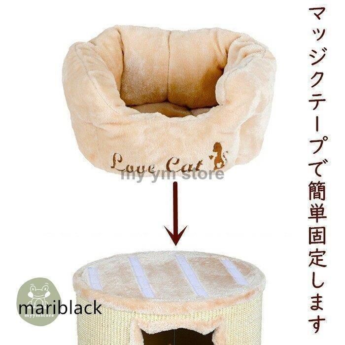 子猫