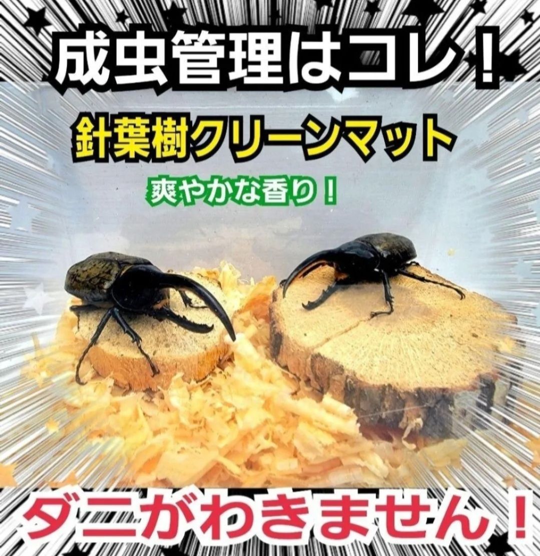 無農薬国産ヒノキ使用