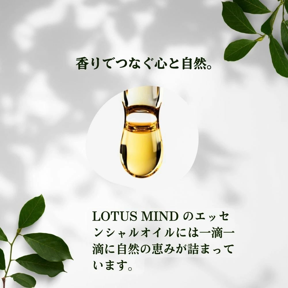 インド
