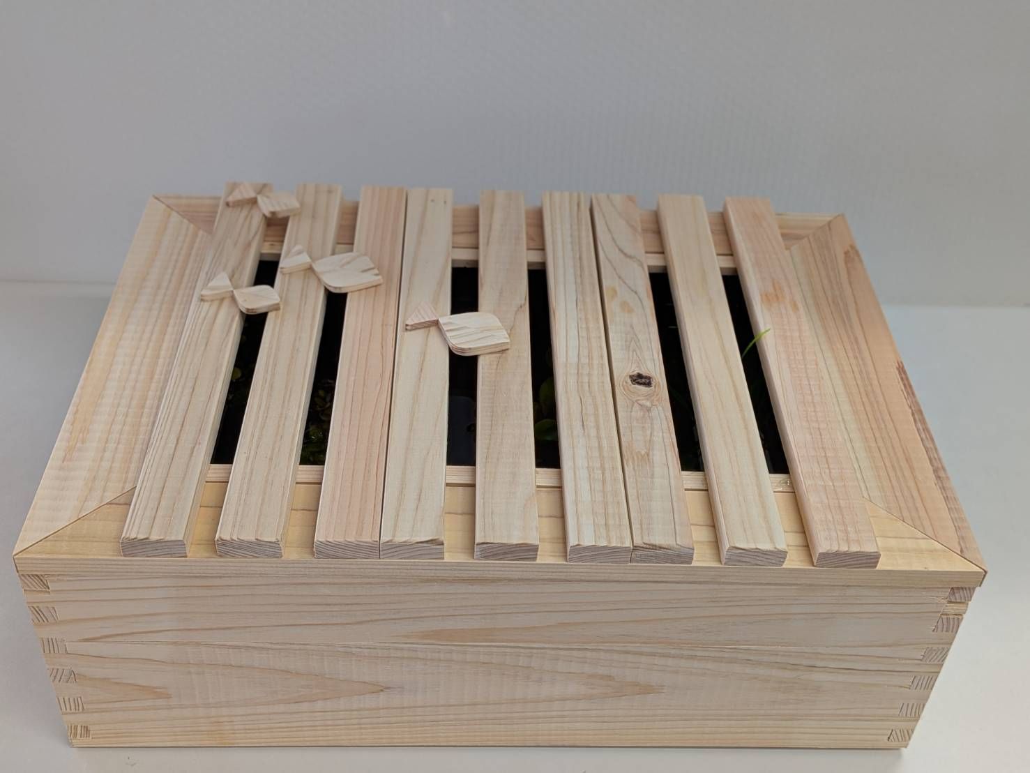 ひのき ビオトープ 木枠 蓋３枚 水槽セット メダカ