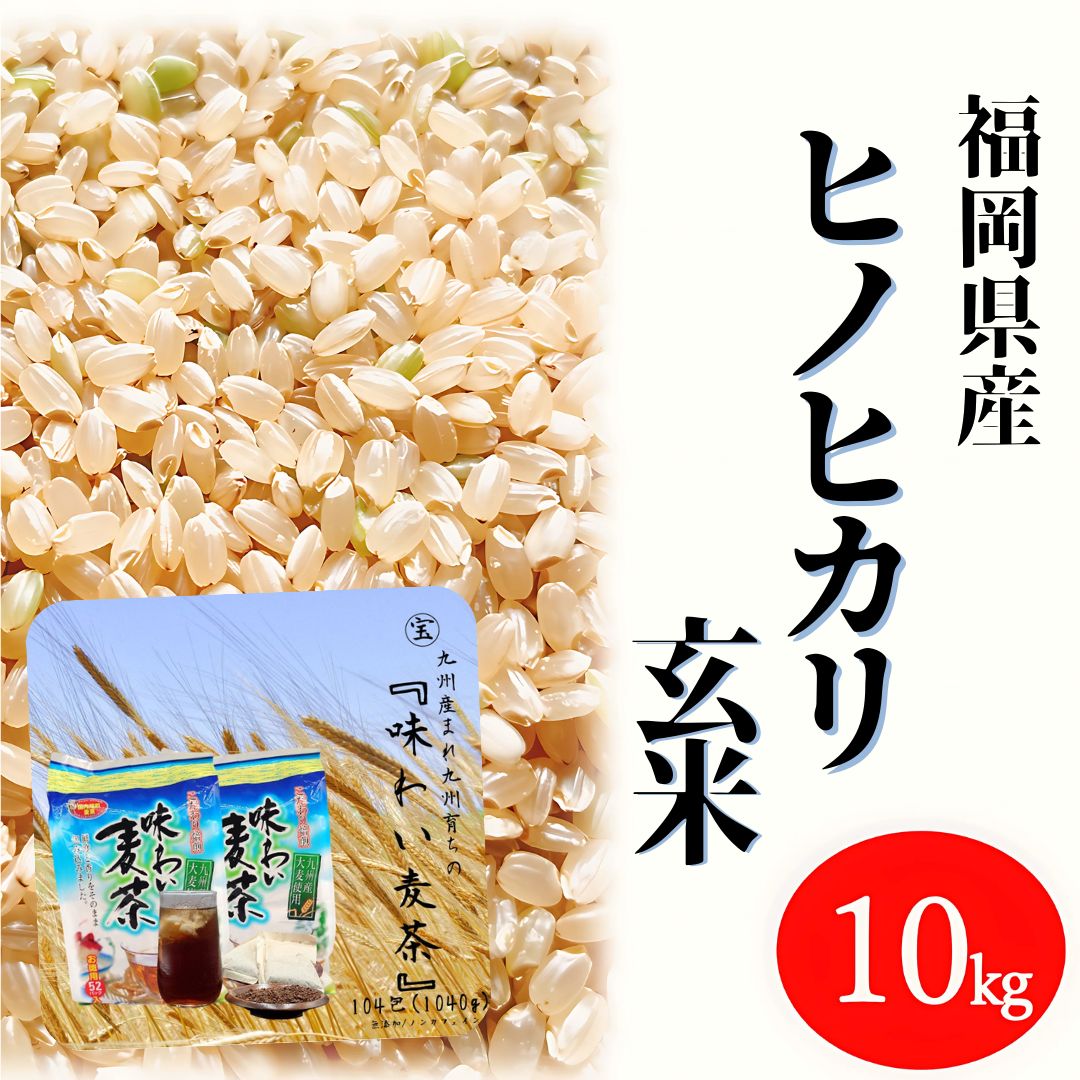 ヒノヒカリ 10kg 玄米 6年産 お米 味わい麦茶セット お得な