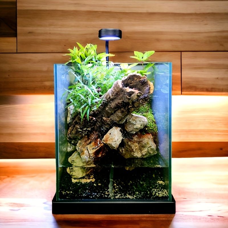 風景の魚の水槽