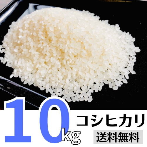 美味しい コシヒカリ10kg