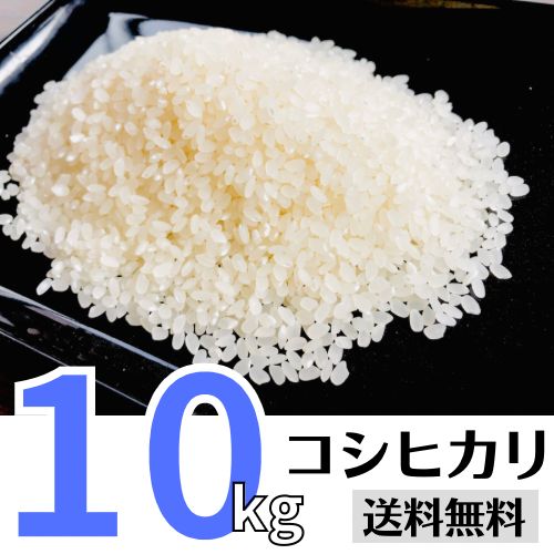 R6年度産 美味しい コシヒカリ玄米10kg