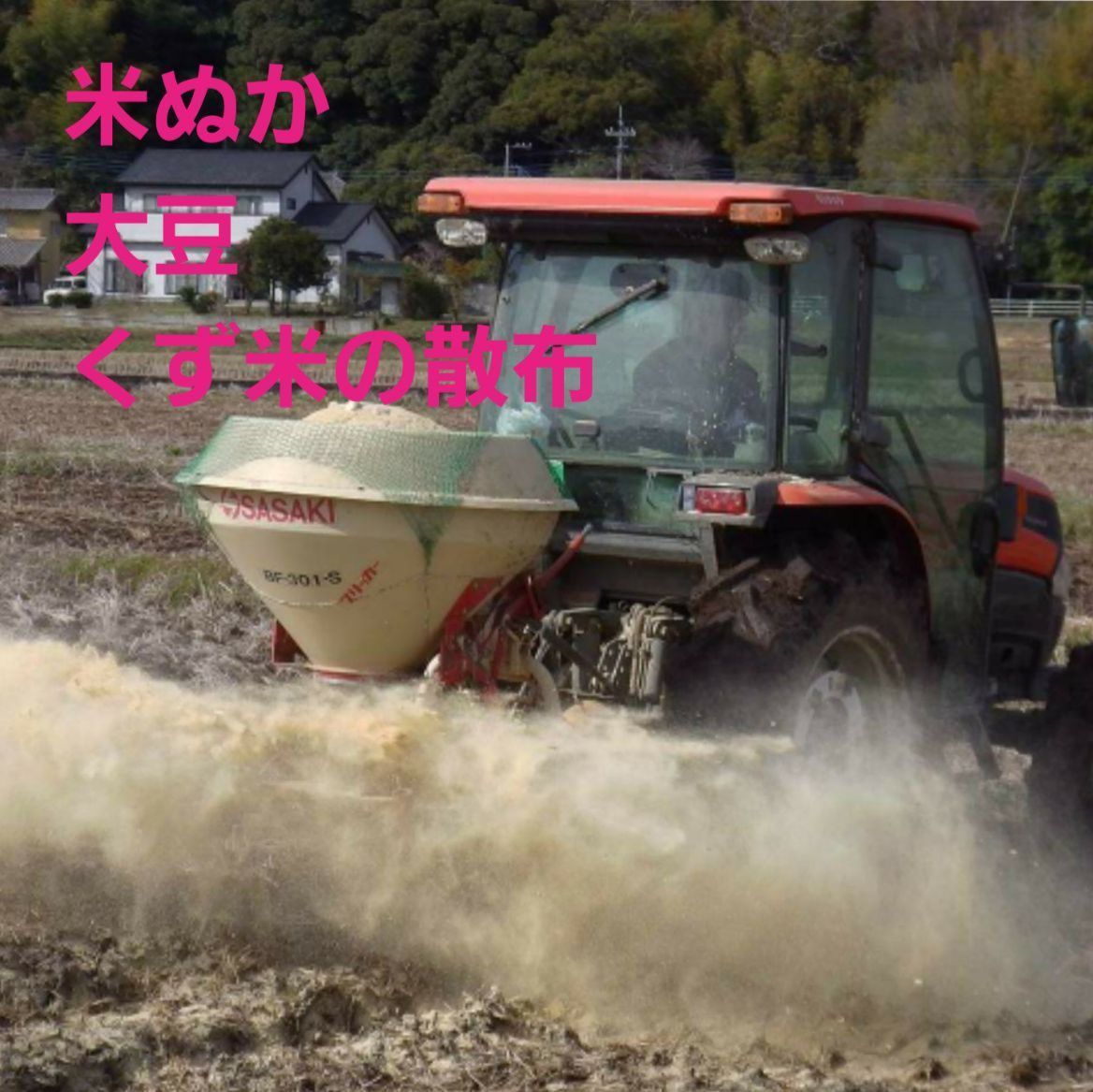 令和7年度産 茨城県稲敷市産 ミルキークイーン 一等米 玄米