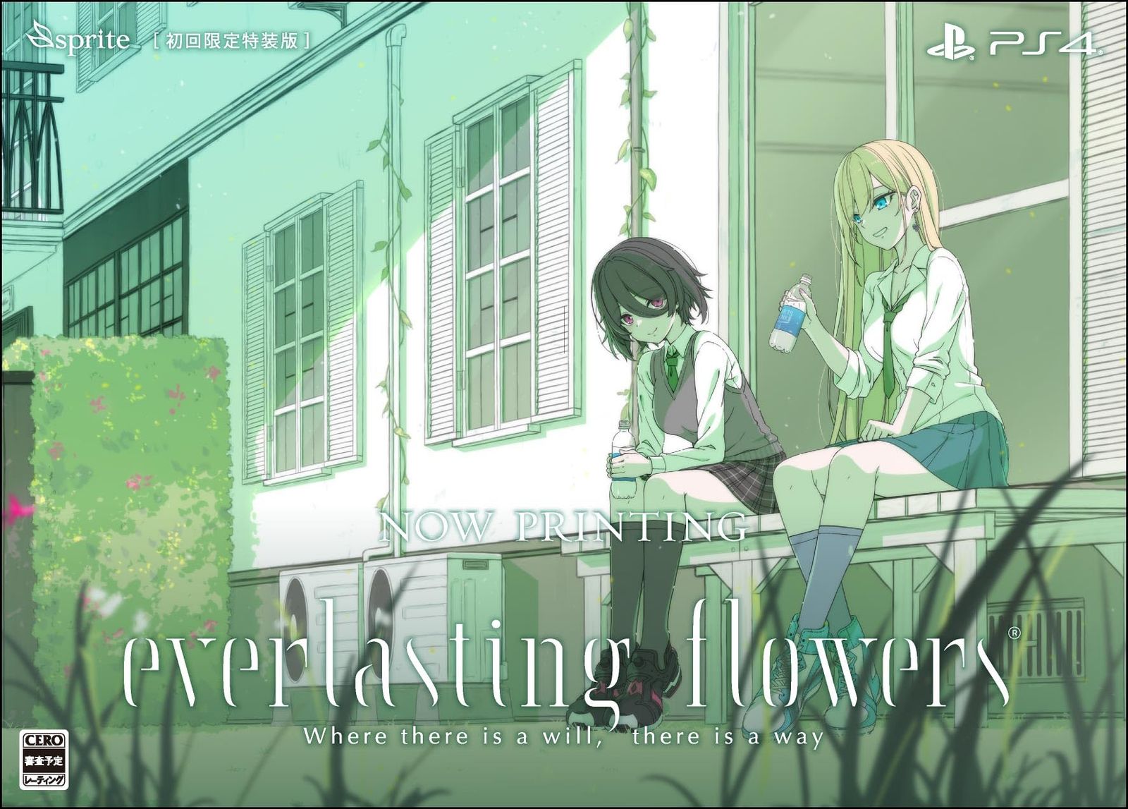 everlasting flowers -PS4 特典 SPECIAL BOXパッケージ オリジナルサウンドトラック 主題歌 エンディング主題歌 全BGMを収録 CD2枚組 everlasting flowers Visual Book 原画 イラ