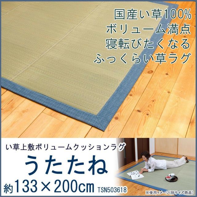 い草上敷ボリュームクッションラグ うたたね 約133×200cm TSN503618