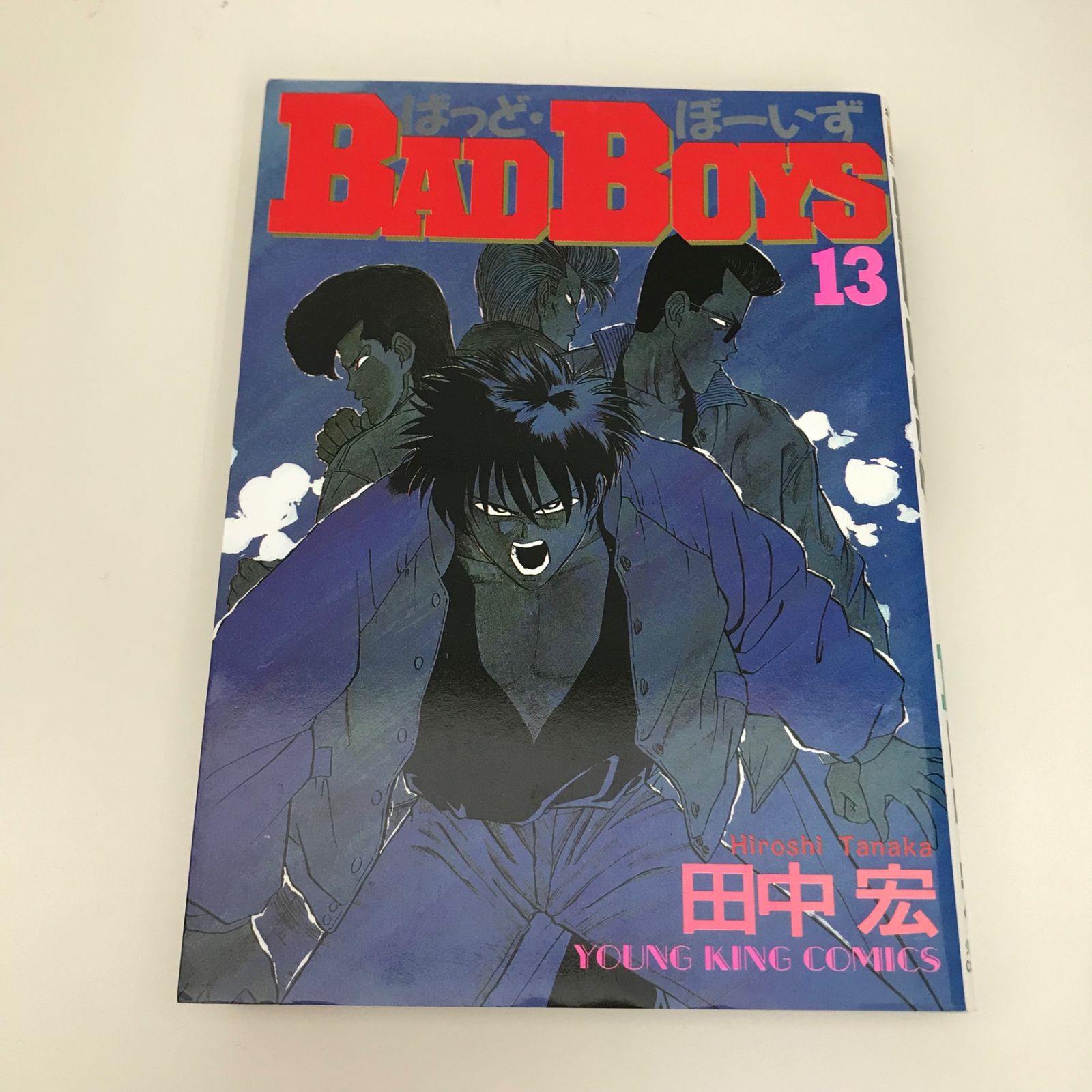 BADBOYS ばっどぼーいず 13巻/【作者】田中宏/GF-0225015320-YP