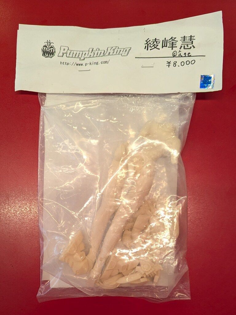 Pumpkin King レジンキャストキット マブラブ オルタナティブ 彩峰慧