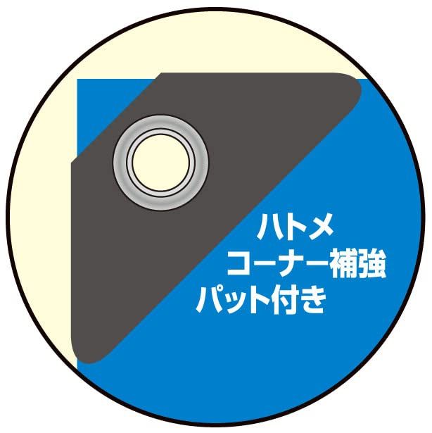 2営業日で発送 イワキ 3000ブルーシート 10X10
