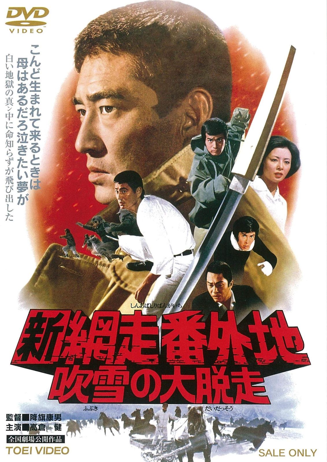高倉 健 網走番外地 DVD 10作品セット 中古商品 高倉健：網走番外地シリーズ（DVD全10枚／分売可能