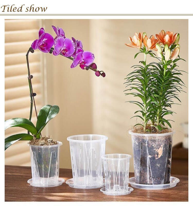 新品 胡蝶蘭専用 10鉢セット 直径14cm 鉢 植木鉢 排水穴付き 多