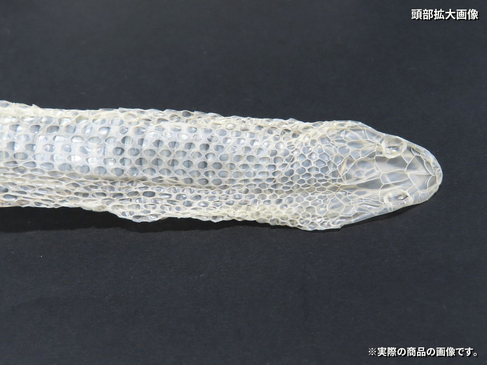 一本物 縁起物