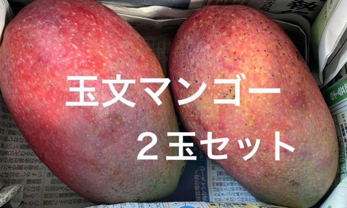 沖縄県産〉玉文マンゴー2玉セット - メルカリ