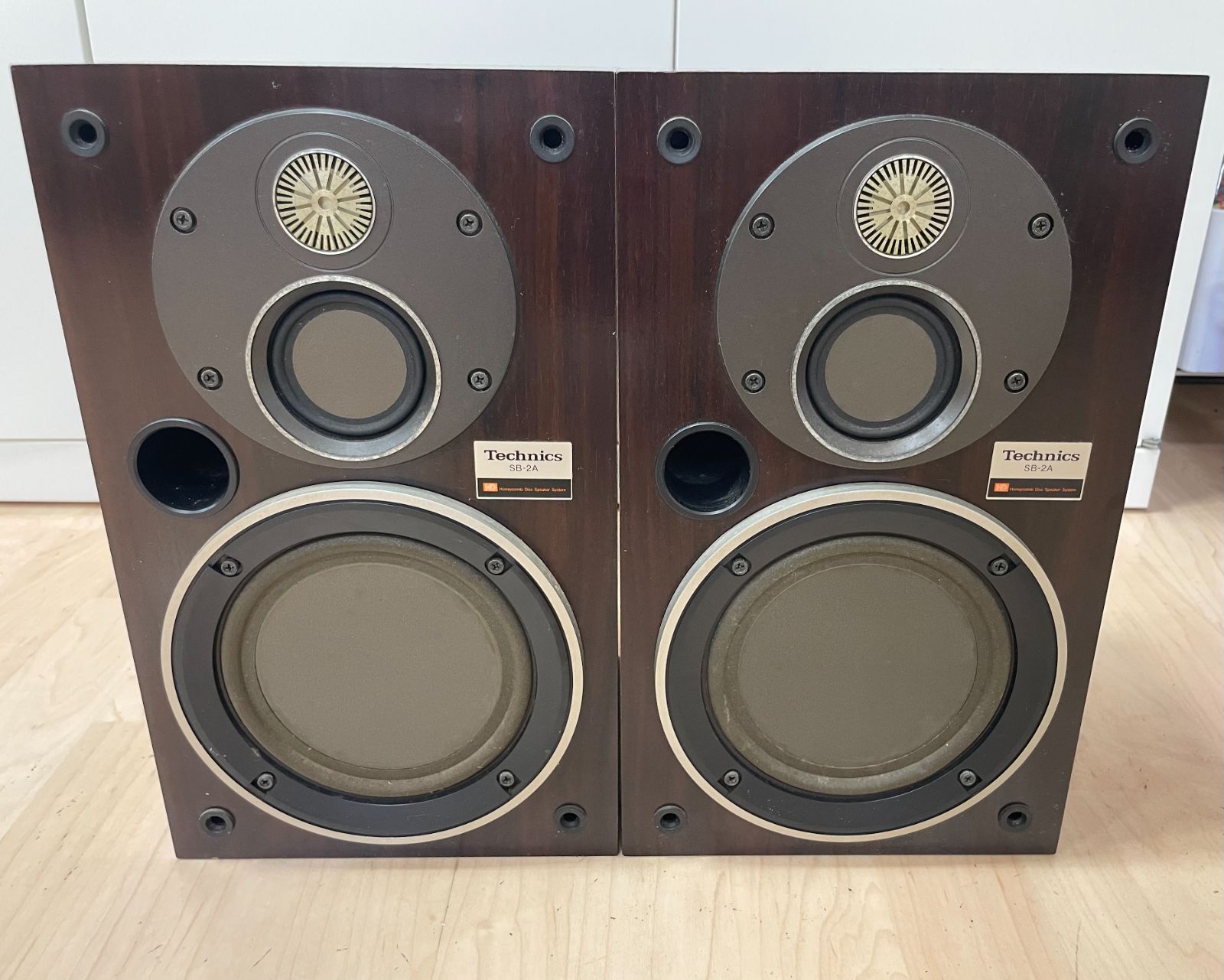 8900‐1】◇平面スピーカー・テクニクス◇「Technics SB-2A