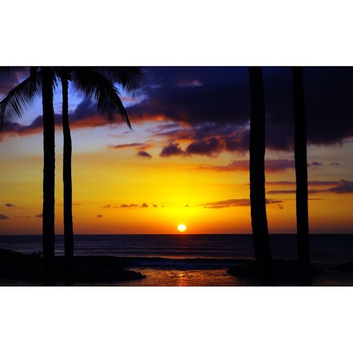 Jan Hartman ヴィンテージ風景コラージュ 水彩 夕焼け マウイ島 92 Jan