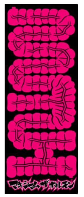 マキシマムザホルモン 腸タオル タオル フェイスタオル
