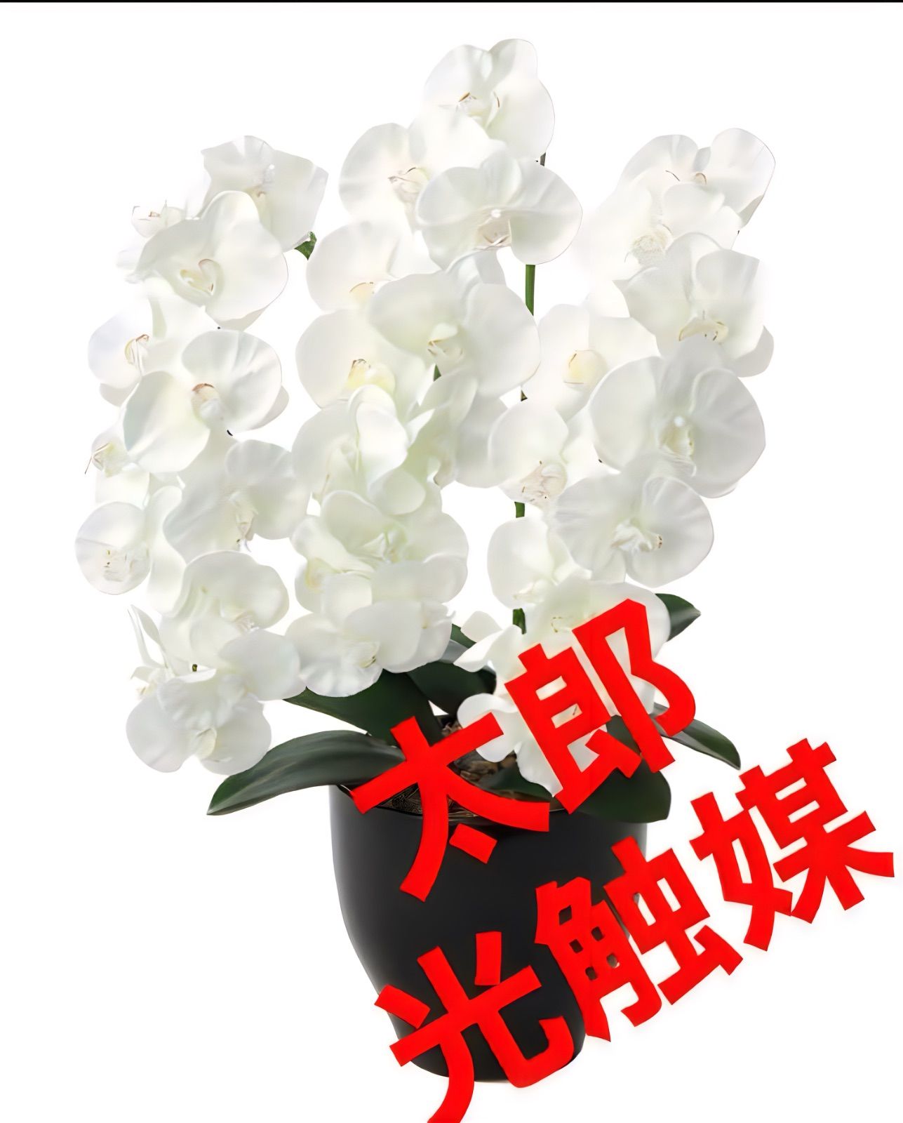 光触媒 人工観葉植物 ウォールグリーン フェイクグリーン プレミアム
