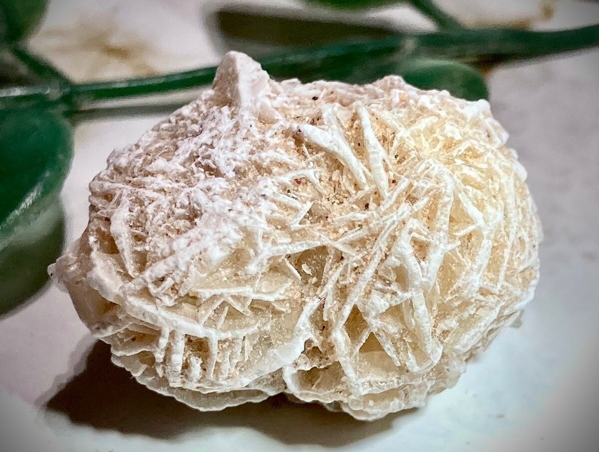 特大✨ 知性の石 砂漠の薔薇 デザートローズ セレナイト ラフ