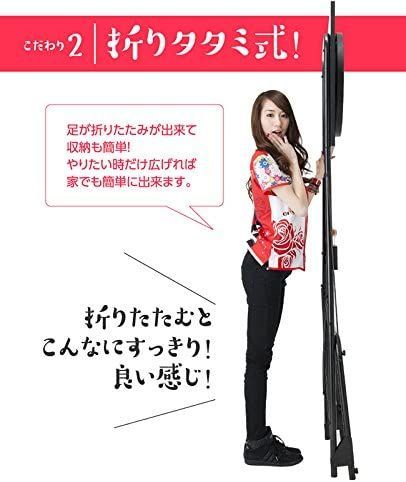 D-CRAFT人気ダーツセット2種