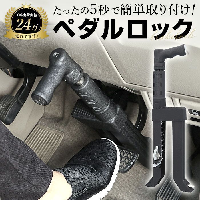 かぼちゃ 観賞用 字光式ナンバープレート 日光ナンバー 2枚セット