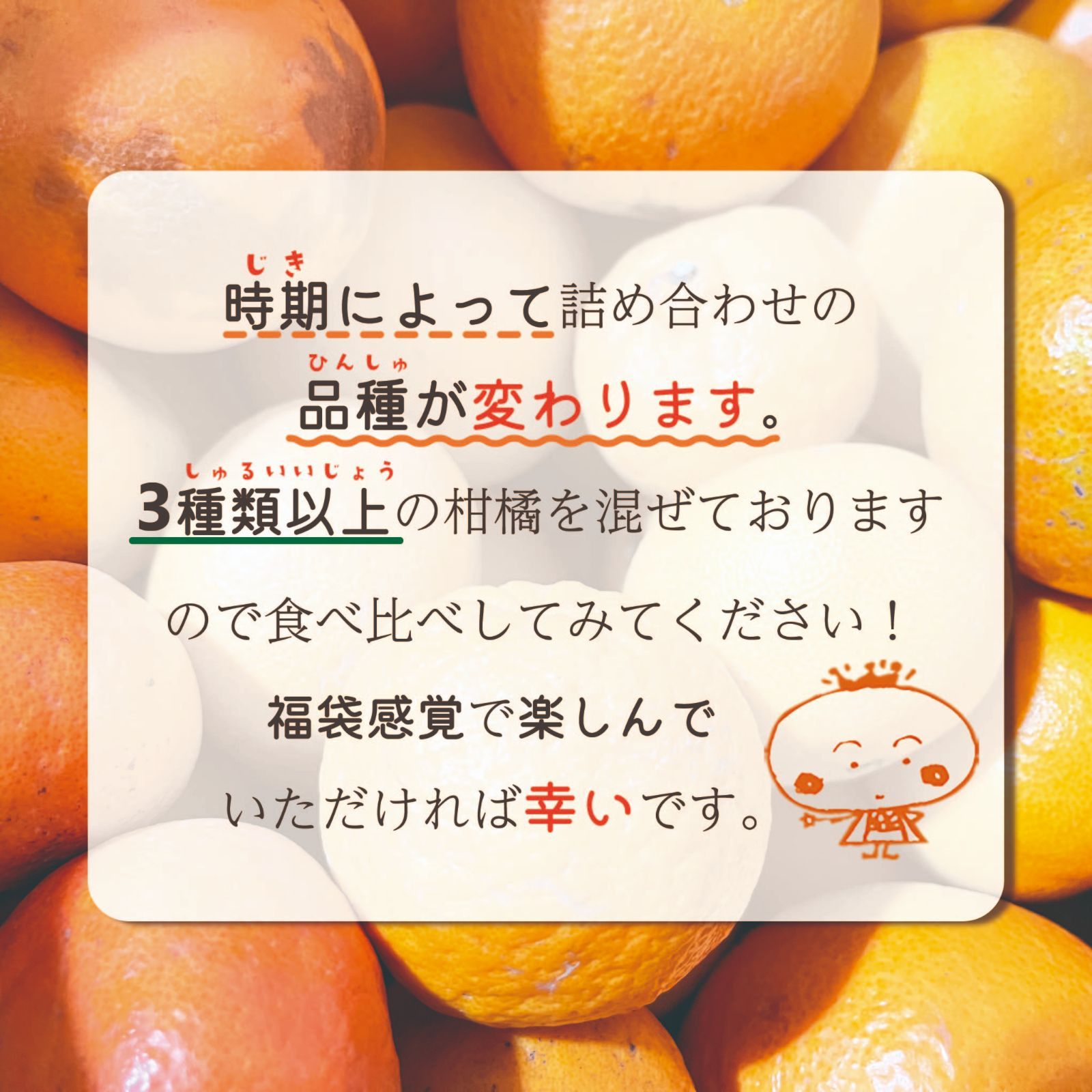 【超お買い得!】旬の柑橘 詰め合わせ 10kg補償有-1