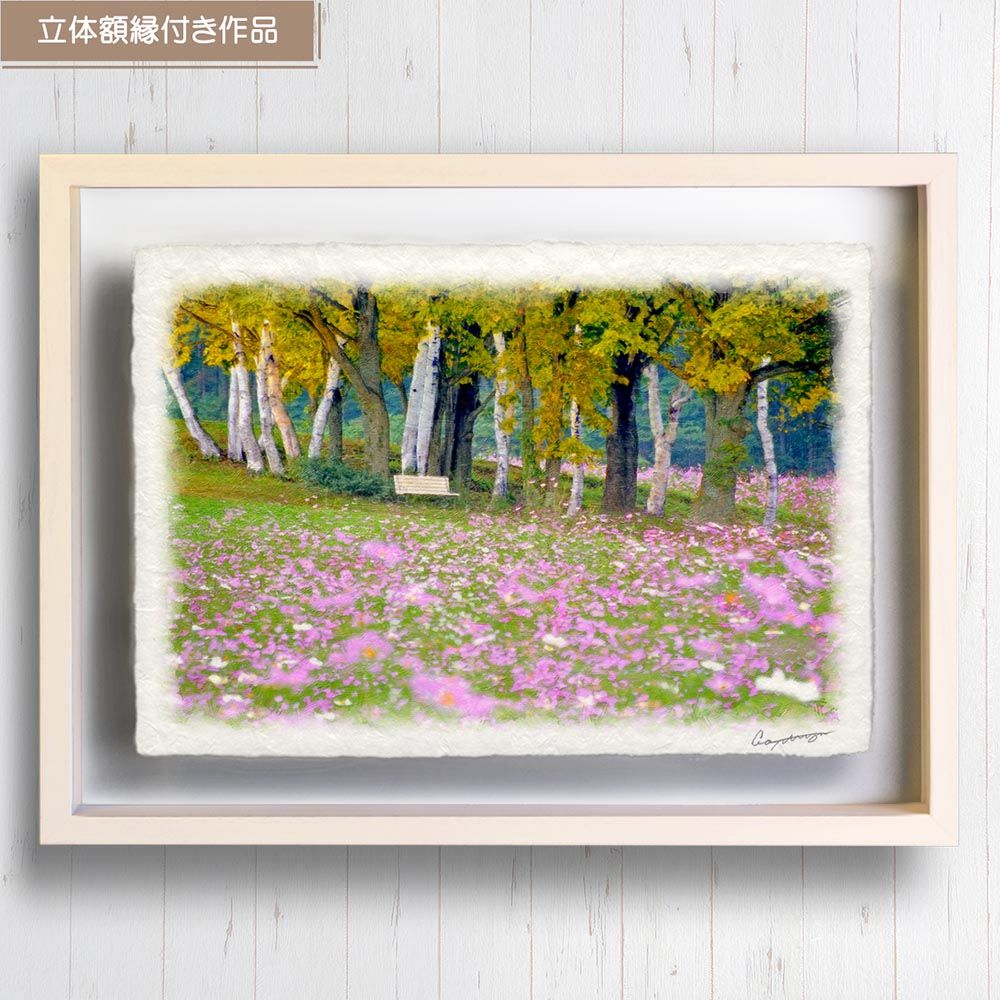 作者不詳 絵画 模写 額装 風景画 インテリア アート・写真 和紙の絵写真 「コスモス畑と白樺林のベンチ」 立体額縁