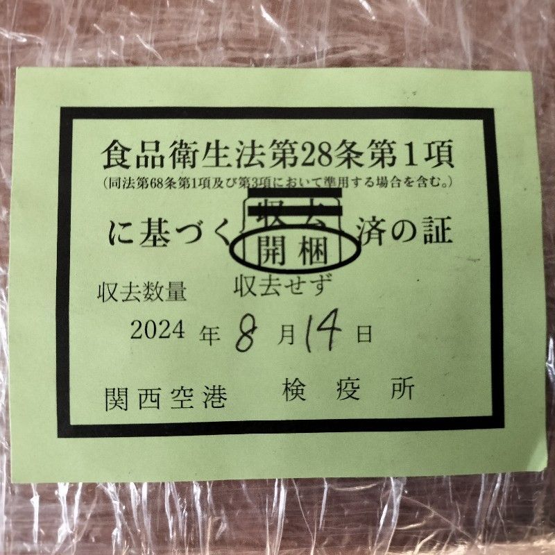 栄養豊富：インド産モリンガ種：モリンガナッツ大粒（カーネル