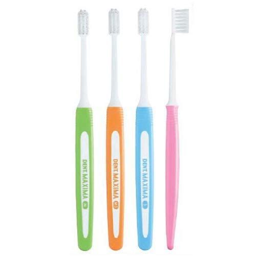 【新着商品】MAXIMA 12本入 DENT. 歯ブラシ S マキシマ ソフト ライオン