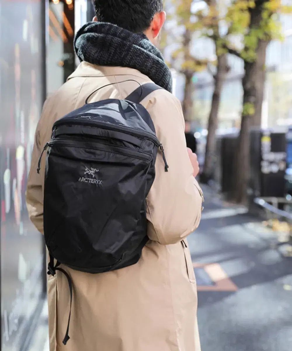Arcteryx ARC TERYX アークテリクス インデックス 15 バックパック バッグ ブラック