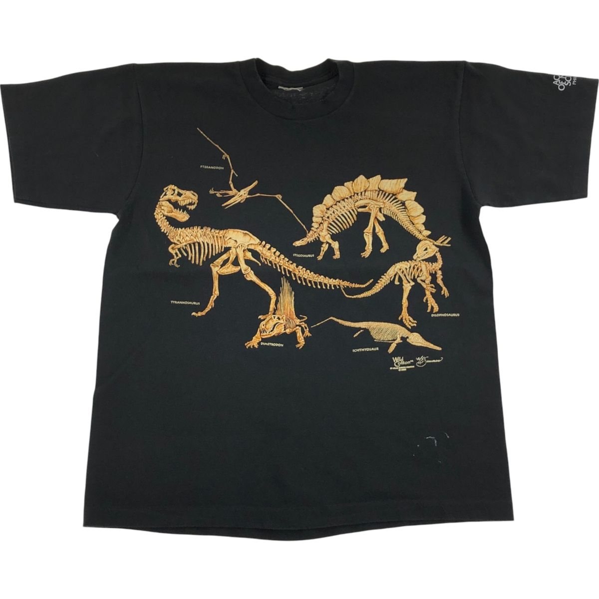 古着 90年代 恐竜柄 プリントTシャツ メンズL相当 ヴィンテージ|eaa540303