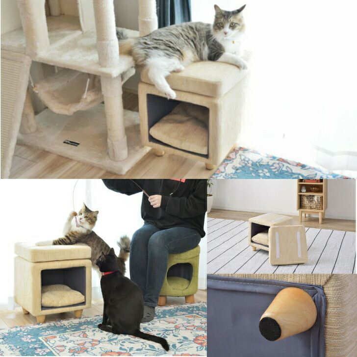 ペットハウススツール スツール ペットベット 犬 猫クッション付き 脚付き 天然木 かわいい スクエア 東谷 PET-62 WWW_GEBZETESISAT_COM_TR