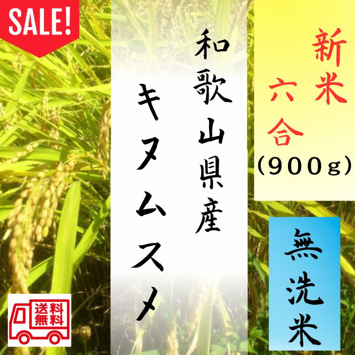初売りSALE‼令和4年　ご飯　お米　和歌山県産　6合分900g　キヌムスメ　ごはん　白米　精米　米　メルカリ