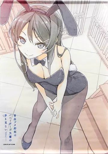 限定 レア 青春ブタ野郎はバニーガール先輩の夢を見ない 桜島麻衣 タペストリー 中古】タペストリー 桜島麻衣 B2タペストリー 「青春ブタ野郎はバニー