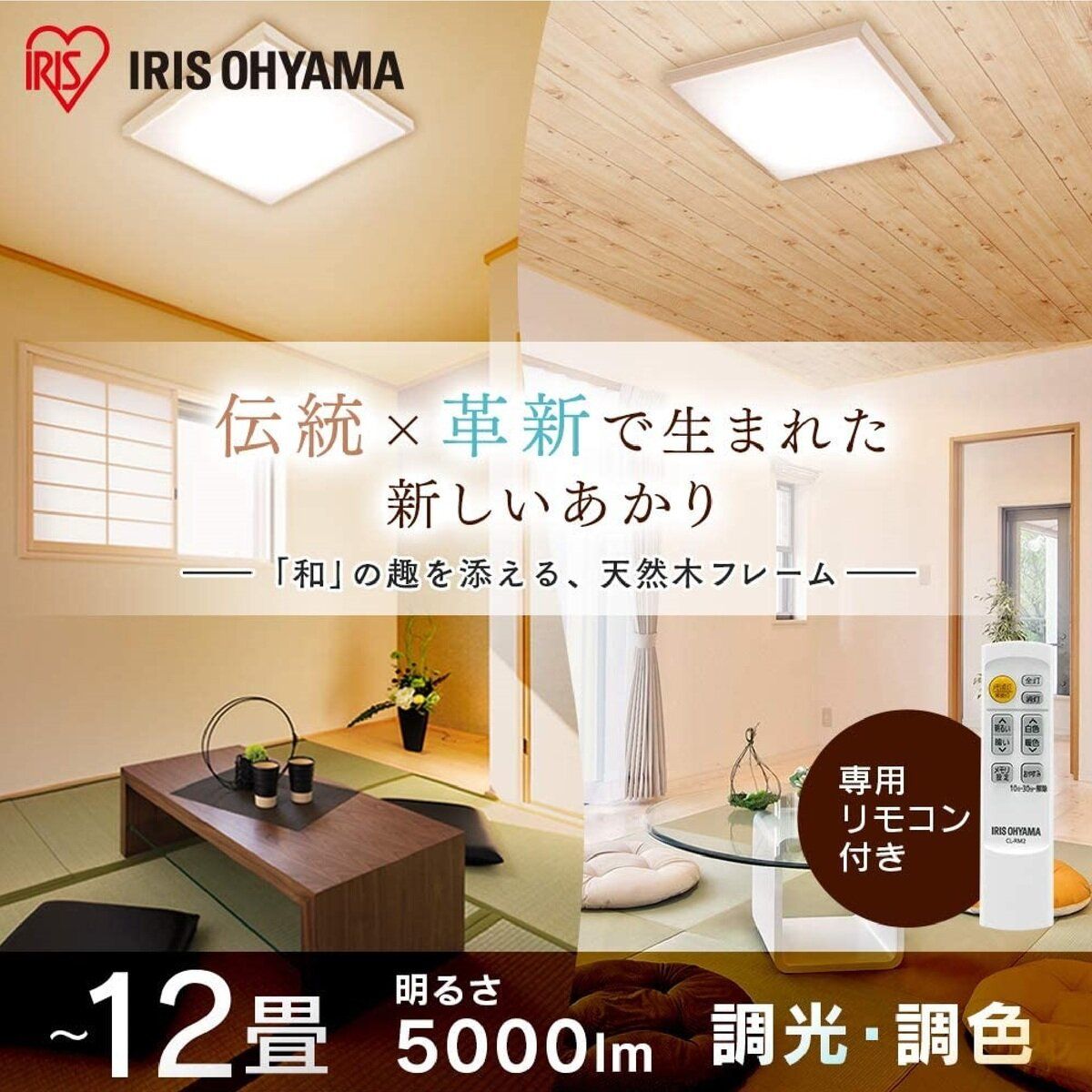 CL12DL-5.1JM ct23840